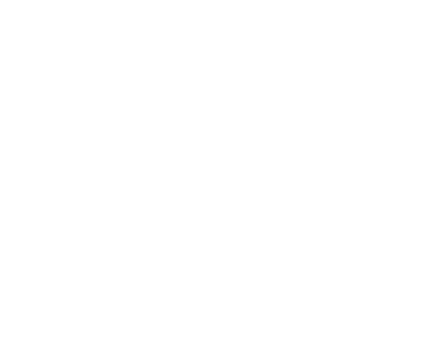 Reverie